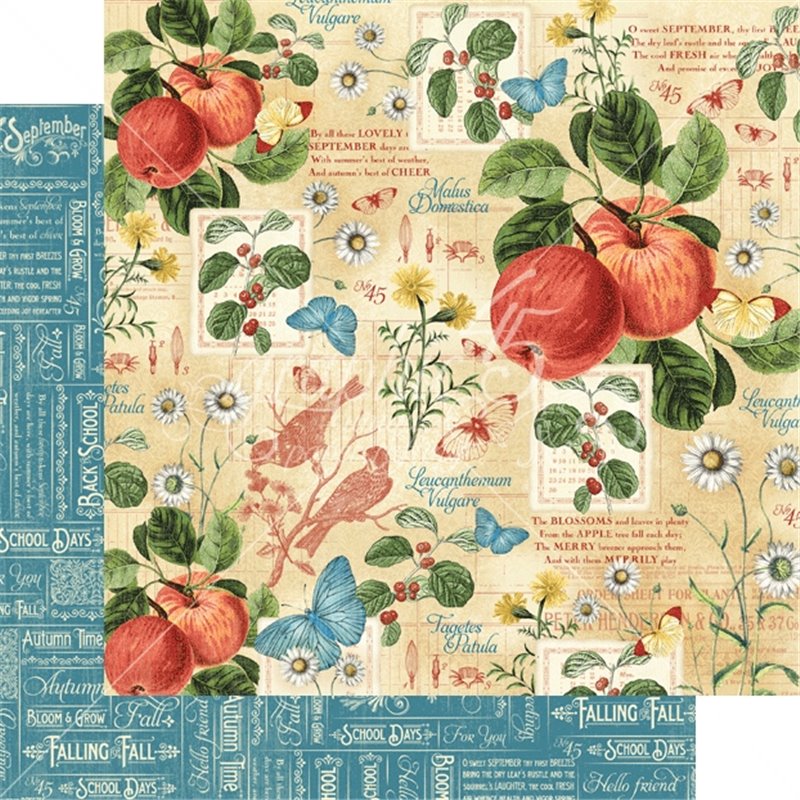 PAPEL SCRAP GRAPHIC45 TIME TO FLOURISH 8'' x 8'' SET 24 PAPELES SURTIDOS COD 4501054